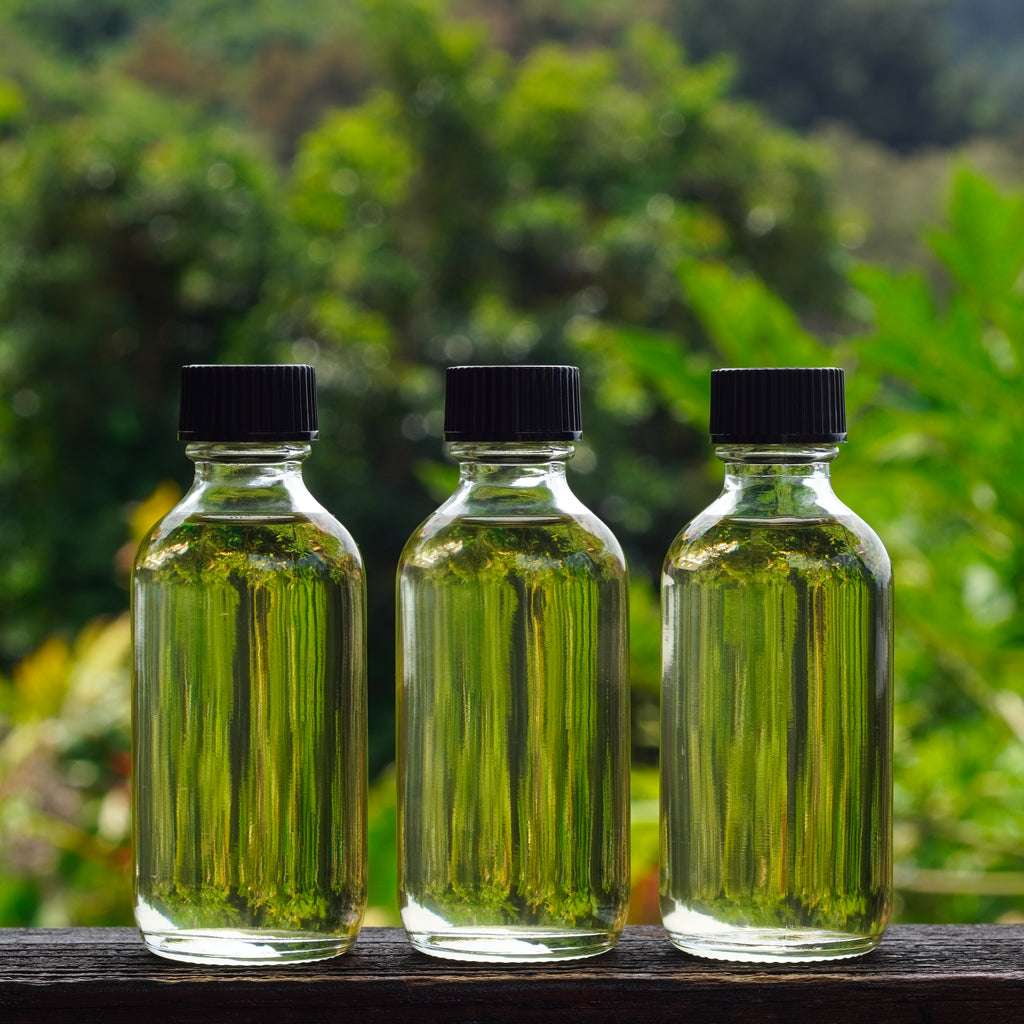 Infusions Virtual HERBAL INFUSIONS & SALVES Virtual Course – INDIGO ELIXIRS