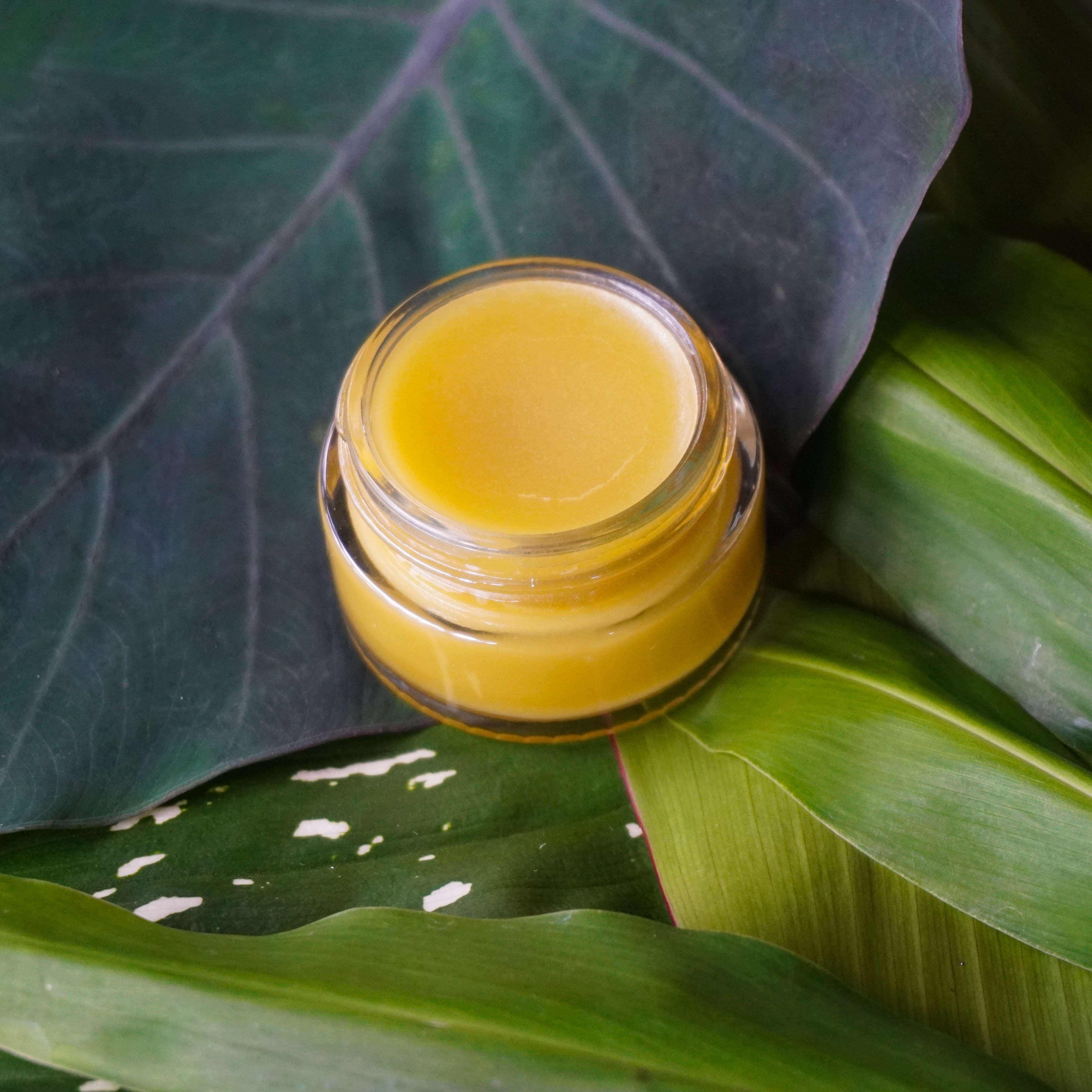 Infusions Virtual HERBAL INFUSIONS & SALVES Virtual Course – INDIGO ELIXIRS