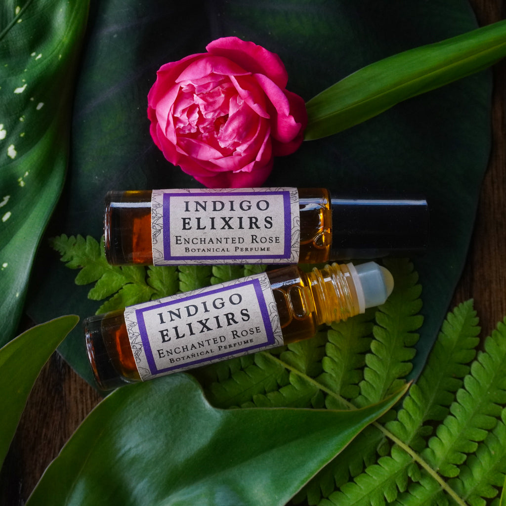 Two bottles of Indigo Elixirs Enchanted Rose perfume on green leaves with a pink rose.